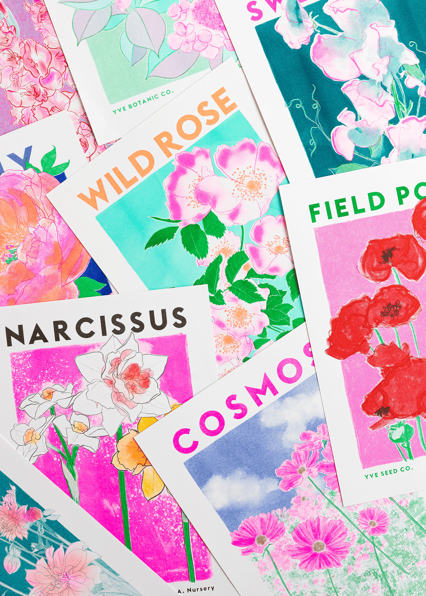 Cosmos Botanical Risograph Print