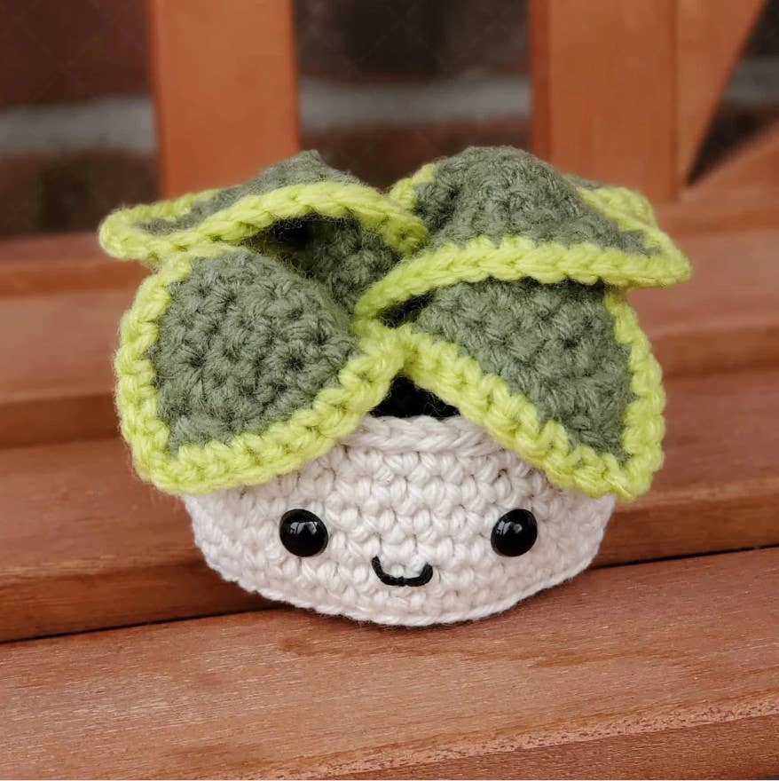 Crochet Succulent