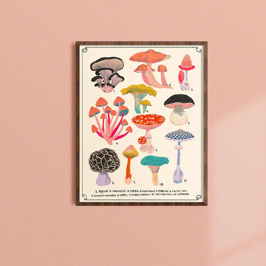Types of Mushrooms Print image 0