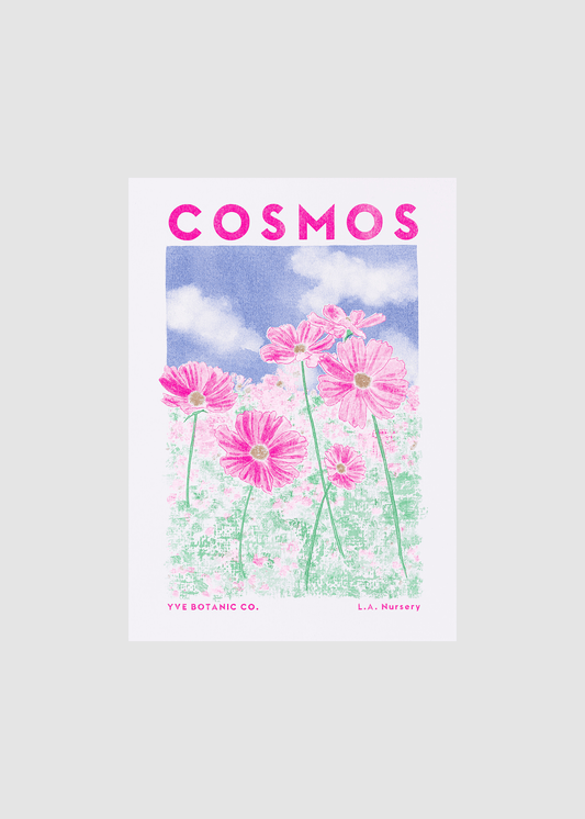 Cosmos Botanical Risograph Print