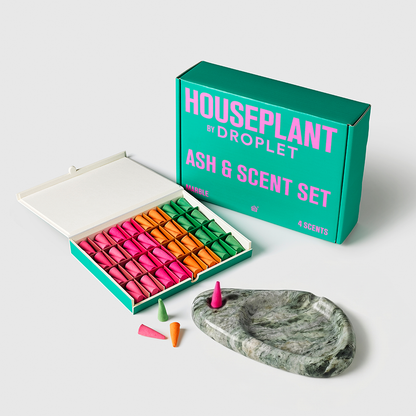 Houseplant by DROPLET Ash & Scent | 64 Incense + Ashtray