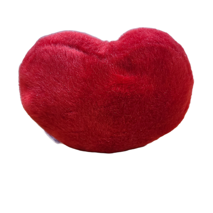 Canned Luv Ya Heart | Valentine Gift Plush