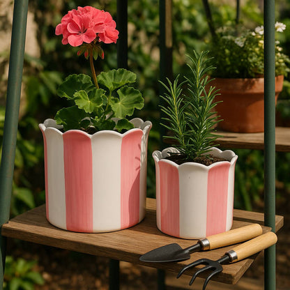 Pink Ceramic Striped Scallop Planter 6”