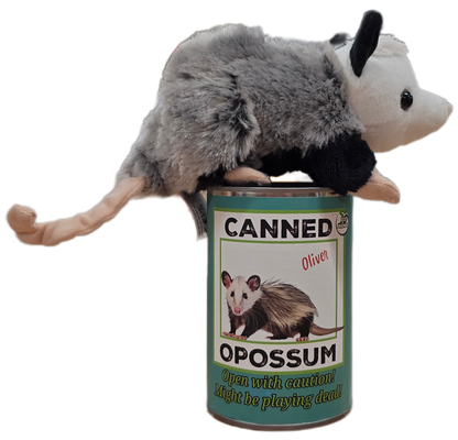 Oliver the Canned Opossum | Stuffed Animal Plush