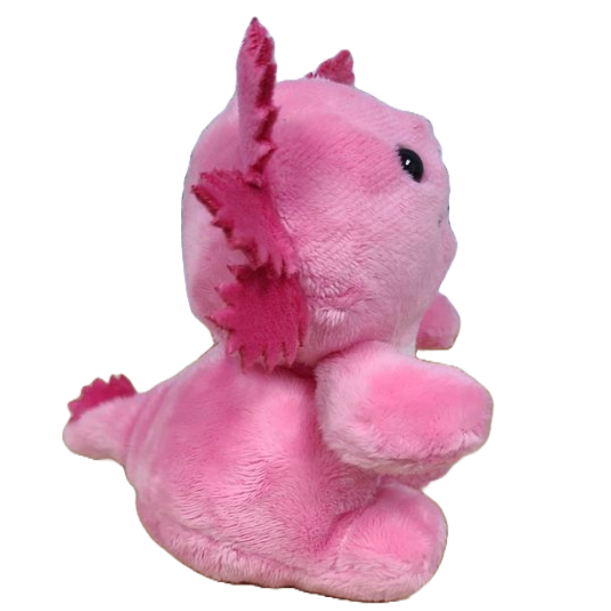 Canned Axolotl | Stuffed Animal Plush