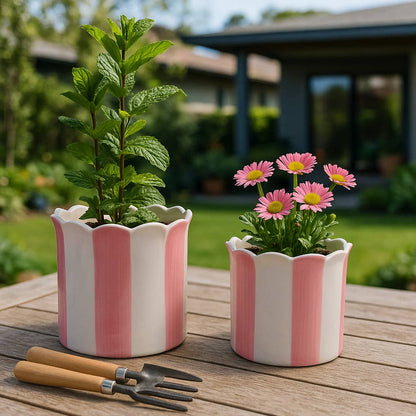 Pink Ceramic Striped Scallop Planter 6”
