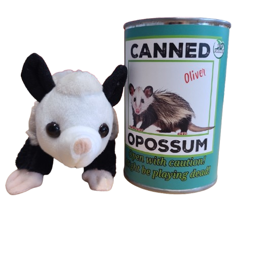 Oliver the Canned Opossum | Stuffed Animal Plush