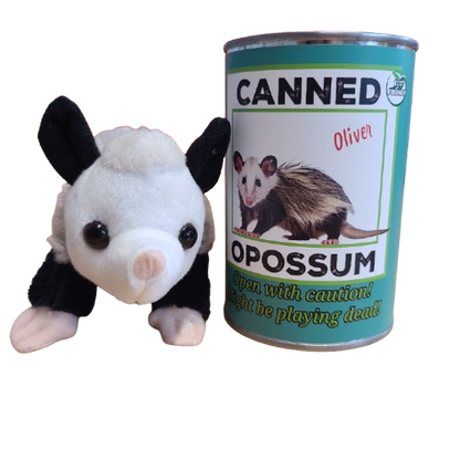 Oliver the Canned Opossum | Stuffed Animal Plush