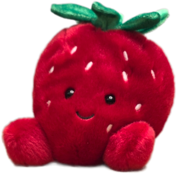 Canned Strawberry | Stuffed Animal Plush
