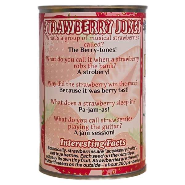 Canned Strawberry | Stuffed Animal Plush