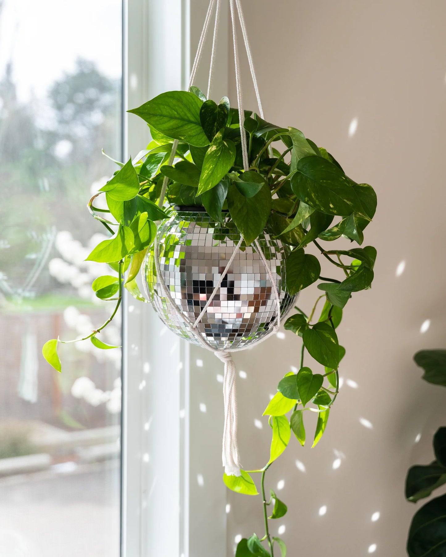 6” Disco Ball Planter