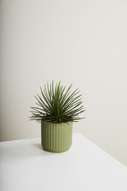 7’ Beam Pot - Green