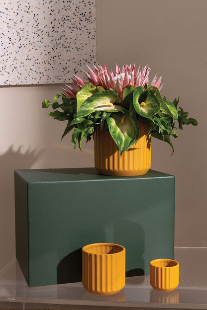 7’ Beam Pot - Gold