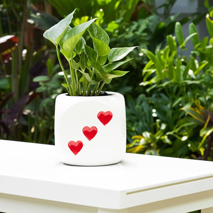Dice Planter