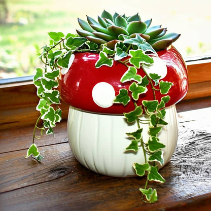 Mushroom Planter
