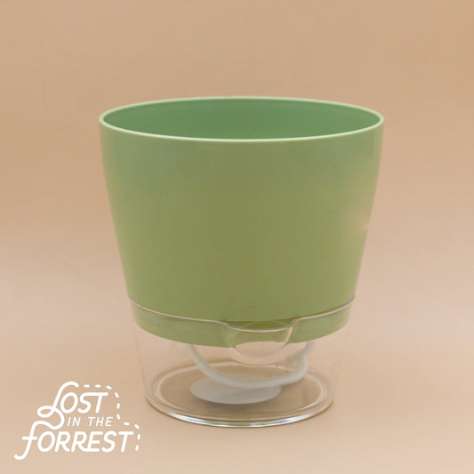 Padua Self-Watering Planter 6"