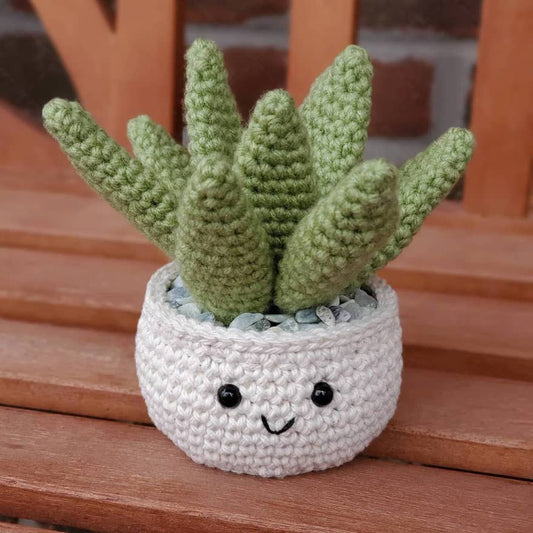 Crochet Succulent